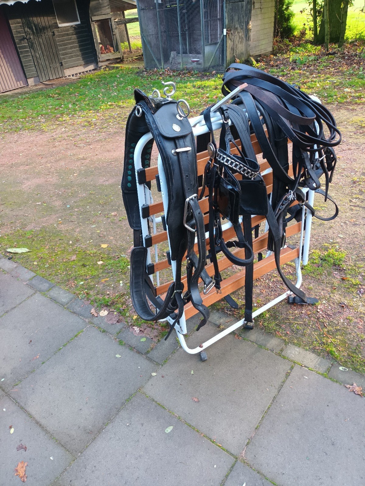 te koop, Dieren en Toebehoren, Ophalen