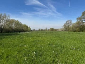 Gezocht: Stuk land/grond vanaf 100 m², Dieren en Toebehoren, Pluimvee