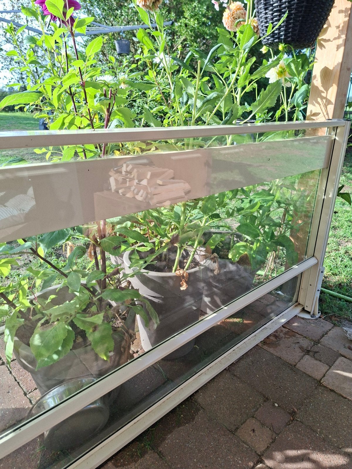 glazen windscherm hoogte instelbaar, Tuin en Terras, Ophalen, 150 tot 200 cm, 150 tot 200 cm, Glas
