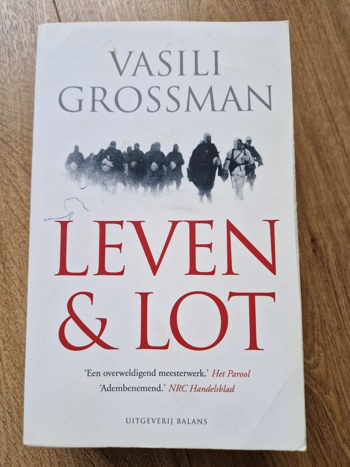 Vasili Grossman - Leven en lot, Ophalen of Verzenden, Zo goed als nieuw, Vasili Grossman