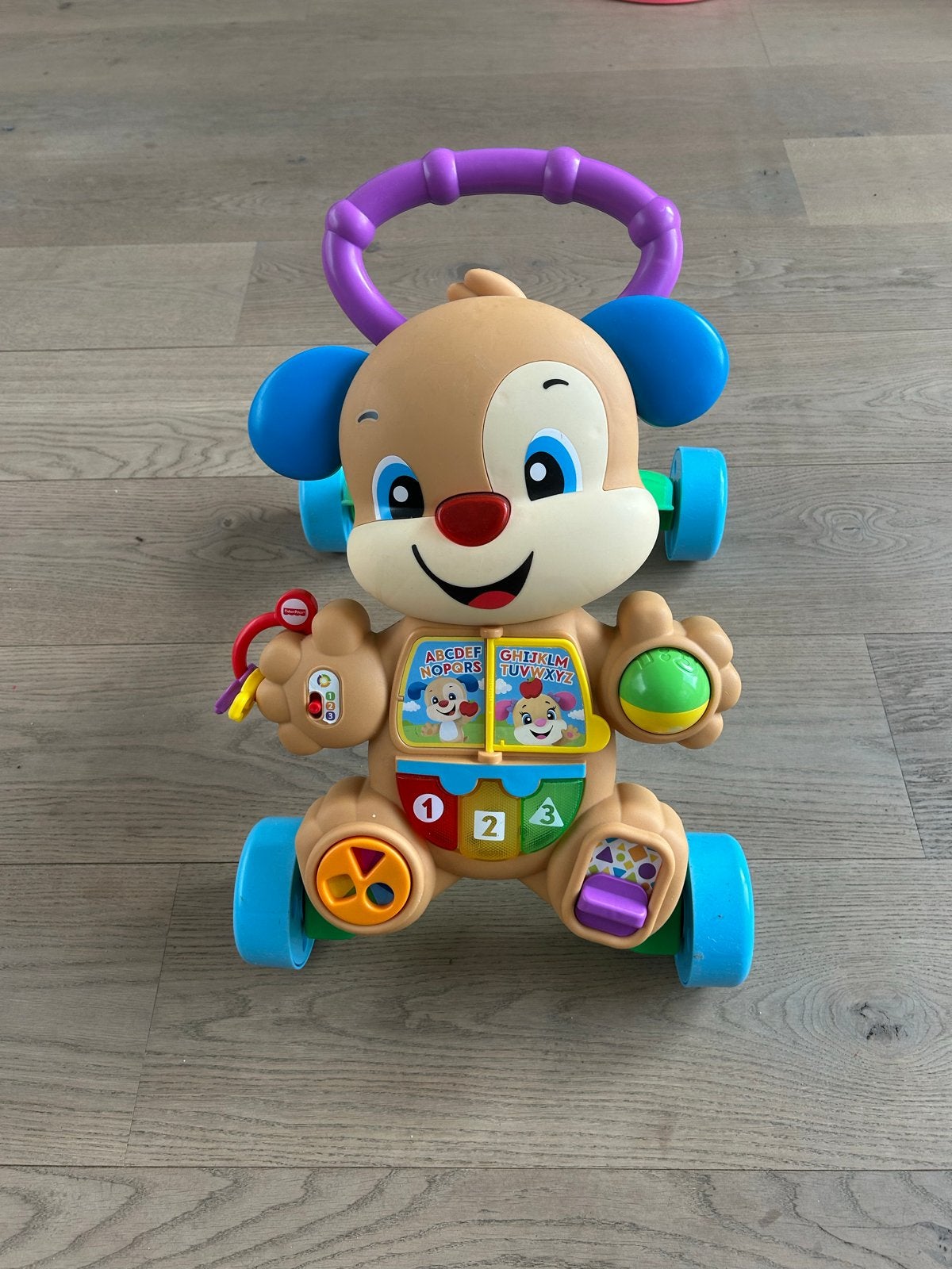 Fisher-Price Loop Speelgoed Hondje Loopwagen, Kinderen en Baby's, Speelgoed | Fisher-Price, Ophalen of Verzenden, Gebruikt, Duw- of Trekspeelgoed