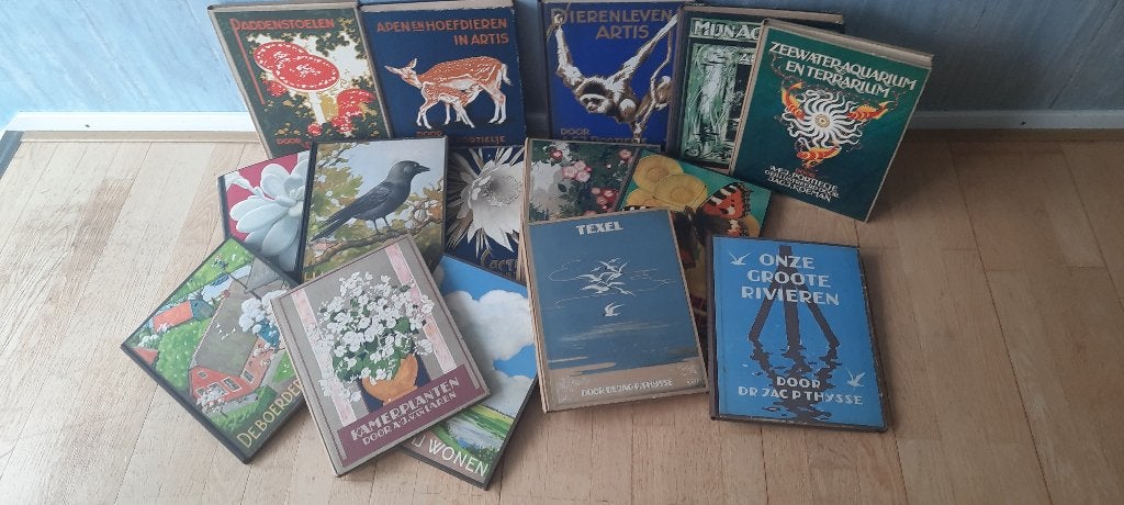 Verkade albums 15 stuks, Ophalen of Verzenden, Gelezen, Diversen, Plaatjesalbum