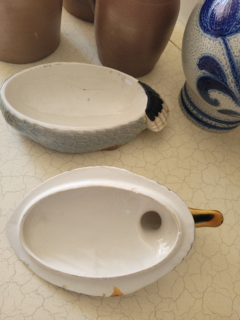 Oude patepot eend Caugant foto 1 t/m 6, Ophalen of Verzenden