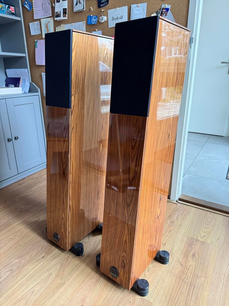 Audio Physic Avanti Rosewood - Zo goed als nieuw, Audio, Tv en Foto, Luidsprekers, Zo goed als nieuw, 120 watt of meer, Front, Rear of Stereo speakers