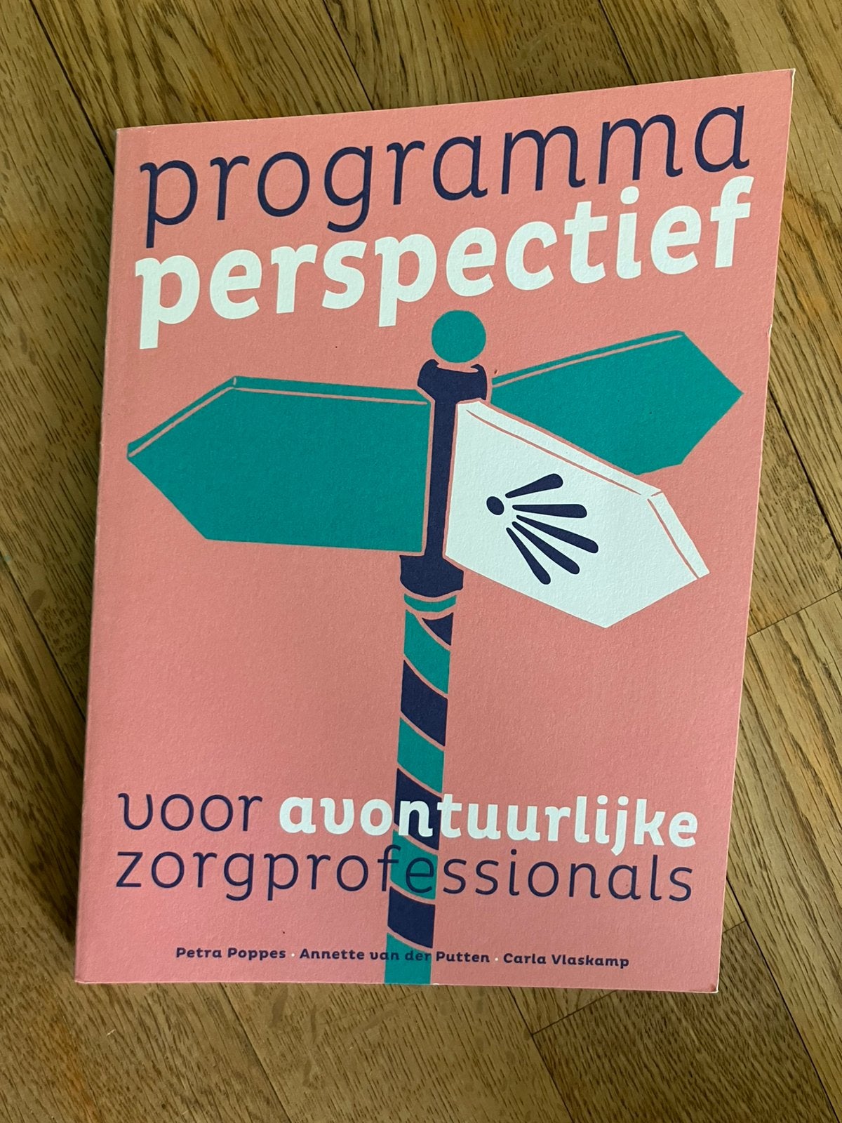 Programma Perspectief voor avontuurlijke zorgprofessionals, Ophalen of Verzenden, Beta, Zo goed als nieuw, HBO