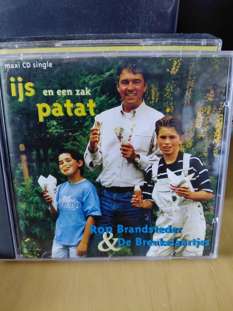 Ron brandsteder & de breukelaartjes - ijs en patat, Ophalen of Verzenden, Gebruikt, Muziek