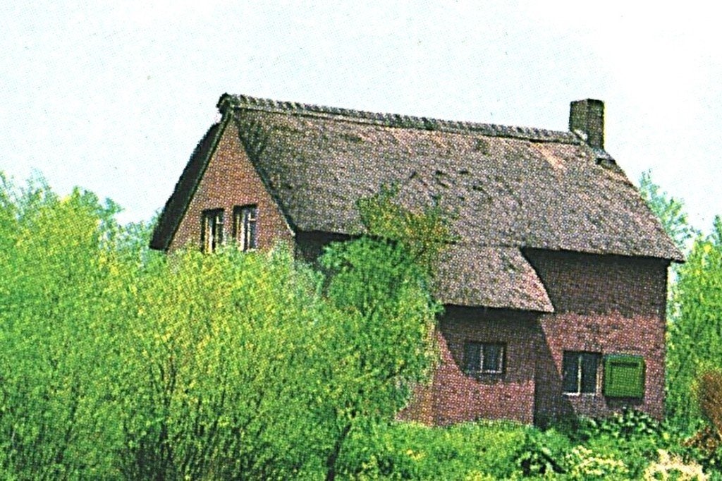 43758 Biesbosch jr 60 70 Het gat van Buisjes _ Onbeschreven, Ophalen of Verzenden, 1960 tot 1980, Ongelopen, Noord-Brabant
