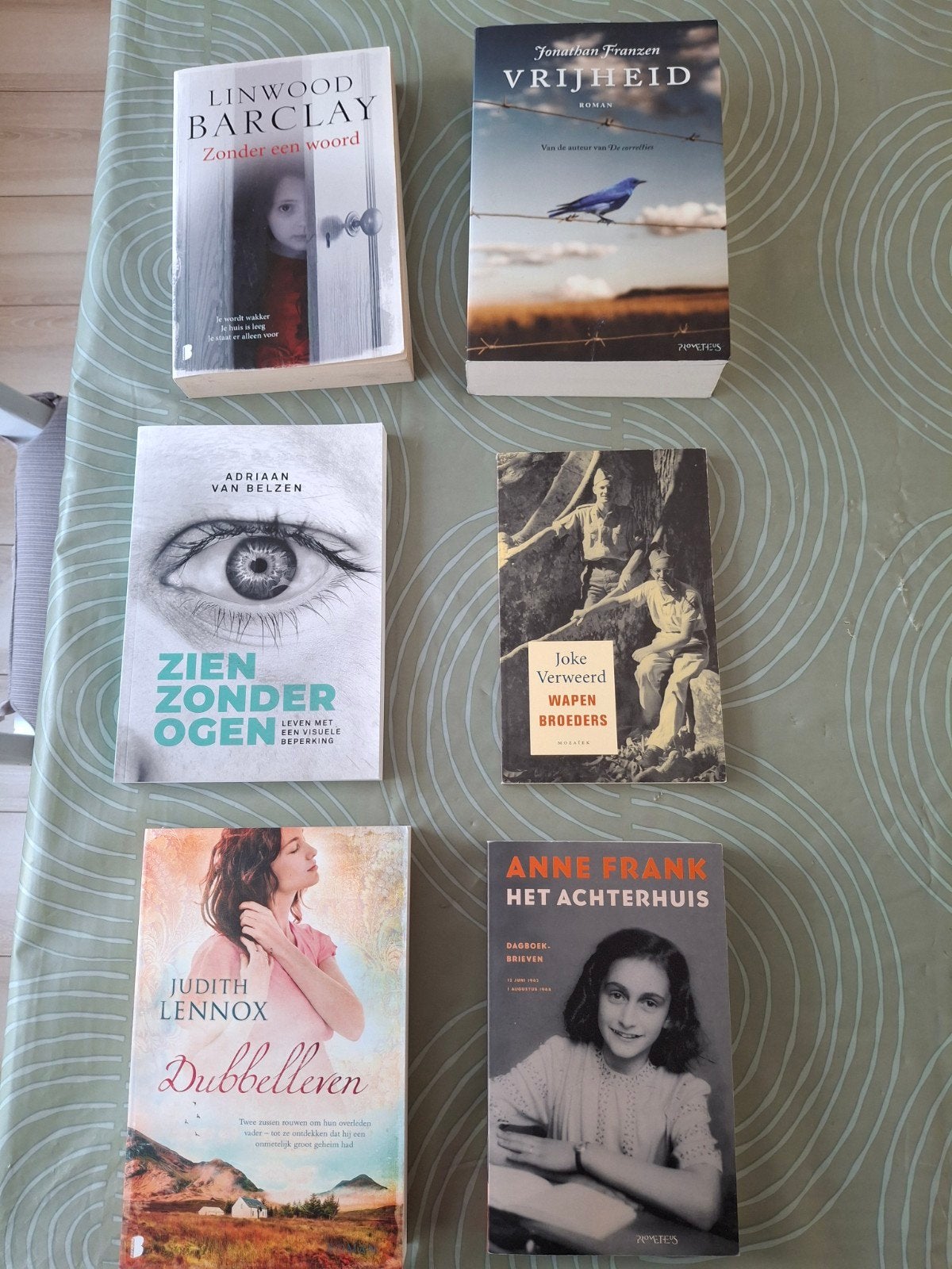 Diverse boeken: thrillers, romans en biografieën, Boeken, Ophalen of Verzenden, Gelezen