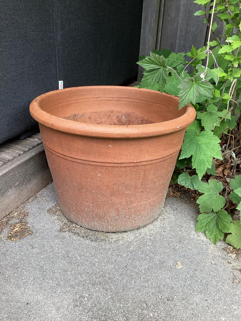 Grote terracotta plantenpot, Ophalen, Steen, Gebruikt, Minder dan 30 cm