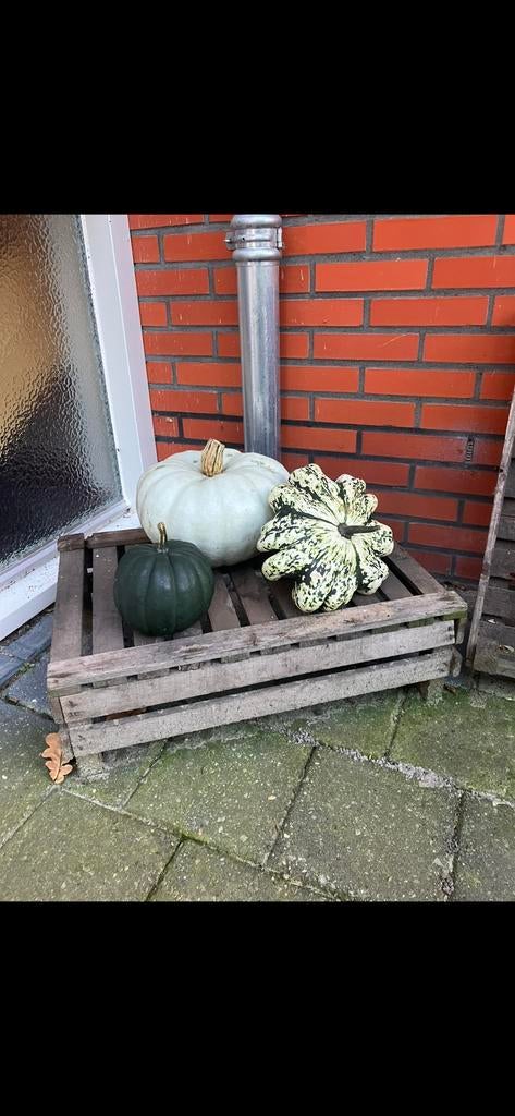 Antieke aardappelkistjes, Ophalen, Zo goed als nieuw