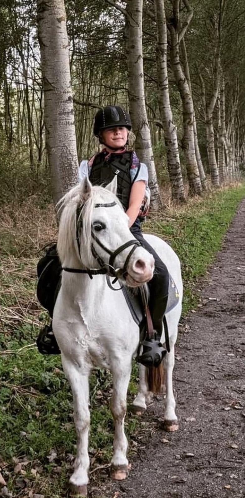 Geweldige voorwaartse kinderpony (welshje), Dieren en Toebehoren, Merrie, Met stamboom, B, B pony (1.17m tot 1.27m)