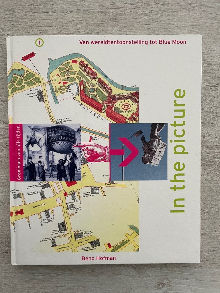 Boek 'Groningen van alle tijden: In the picture' - B. Hofman, Ophalen of Verzenden, Zie beschrijving, 20e eeuw of later, Gelezen