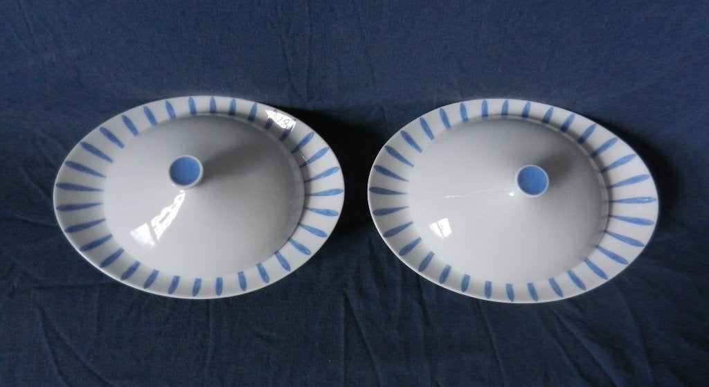 Paar ovale terrines botervloten Arzberg model 2000 dec Polar, Arzberg, Overige typen, Nieuw, Ophalen of Verzenden