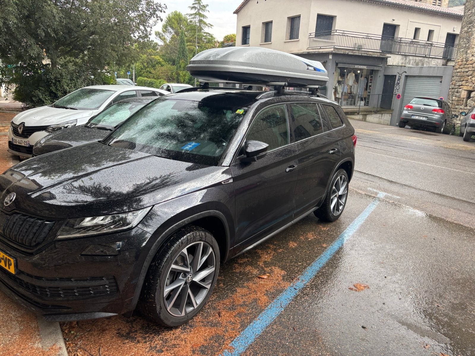 Originele Skoda dakdragers voor diverse modellen, Auto diversen, Dakdragers, Ophalen, Gebruikt