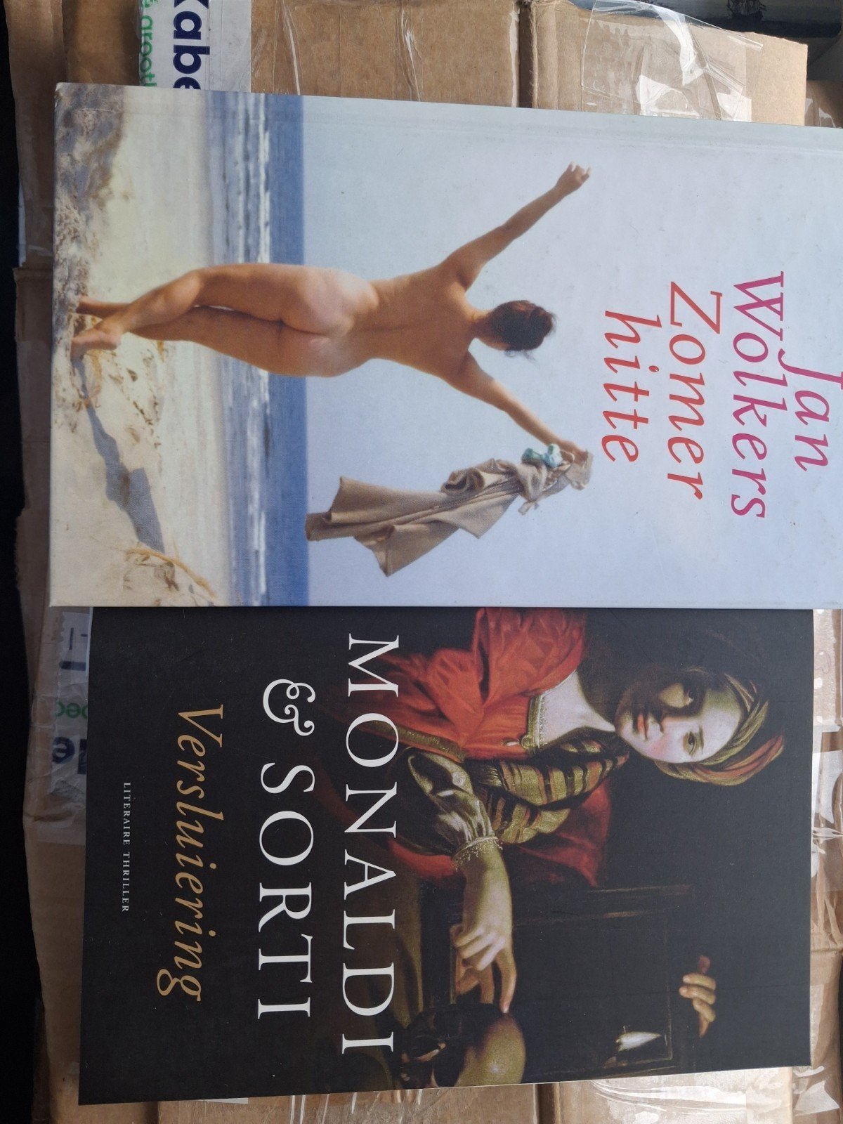 Boeken: Jan Wolkers - Zomerhitte  Monaldi & Sorti - Versluie, Ophalen of Verzenden, Gelezen, Jan Wolkers, Monaldi & Sorti