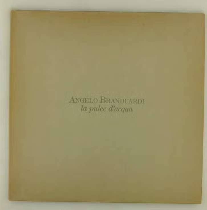 LP Angelo Branduardi – La Pulce D'Acqua , 26 395 XOT Vinyl, Cd's en Dvd's, Vinyl | Rock, LP, Ophalen of Verzenden, Zo goed als nieuw