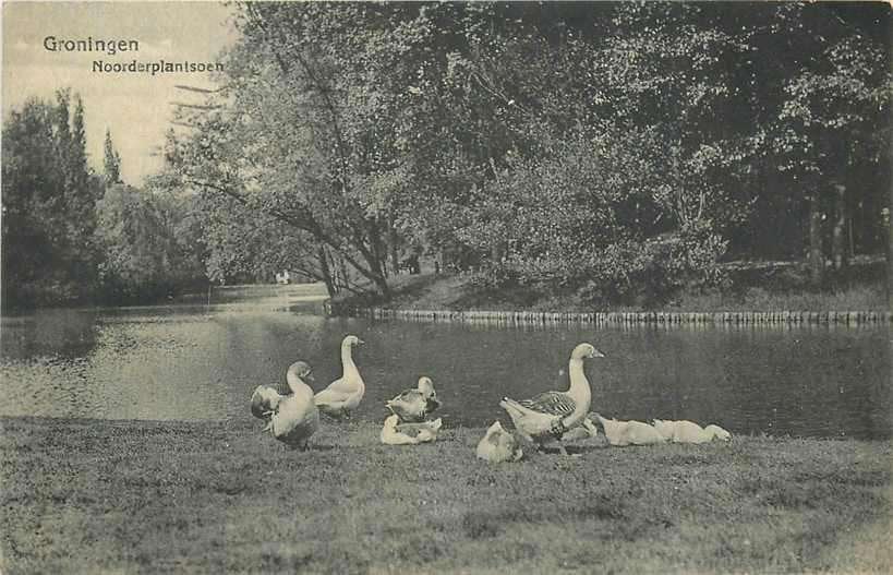 377-666-031 Groningen Noorderplantsoen, Verzenden, Voor 1920, Groningen