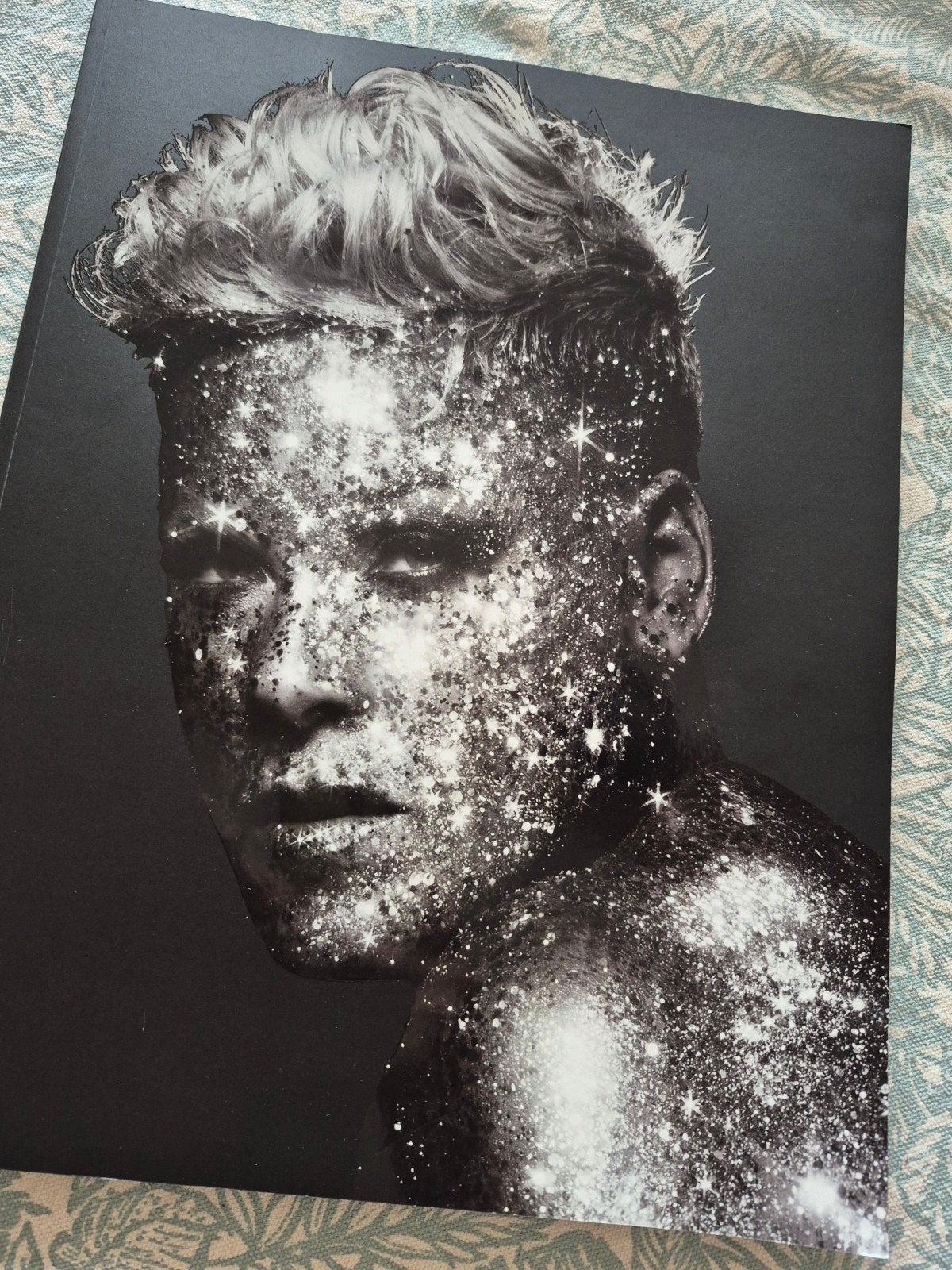 Prachtig official Tourbook Pink, Ophalen of Verzenden, Zo goed als nieuw, Artiest