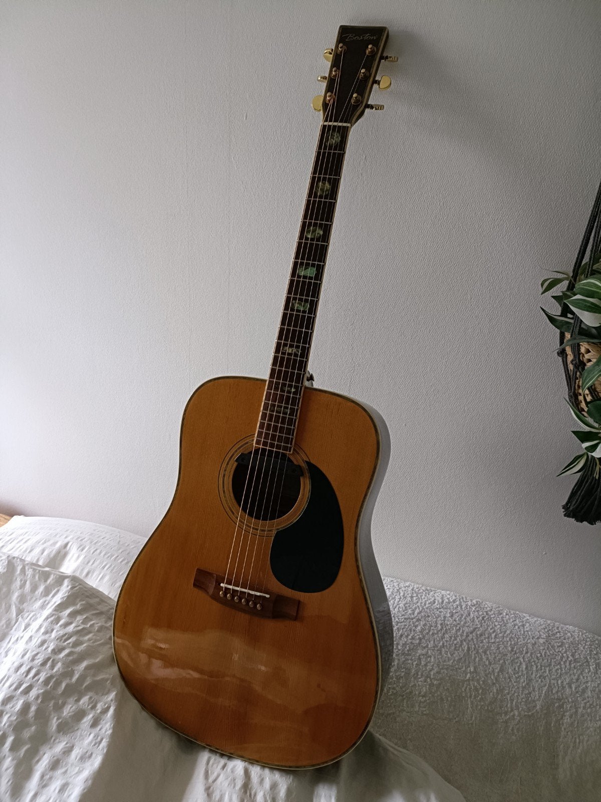 Boston Western gitaar met Fishman element, Ophalen
