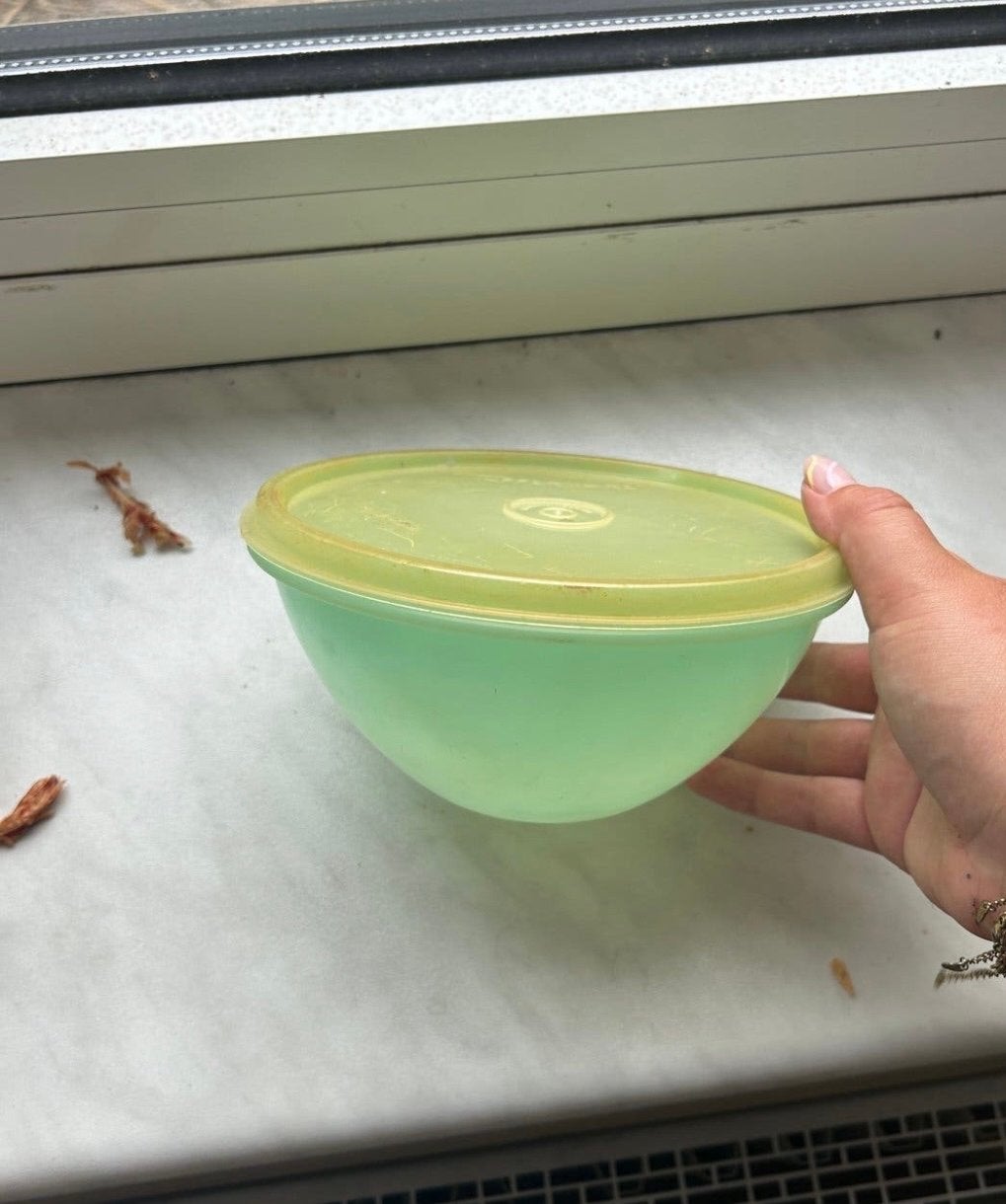 Tupperware schaal met deksel - Gebruikt, Gebruikt, Schaal, Ophalen of Verzenden, Met deksel