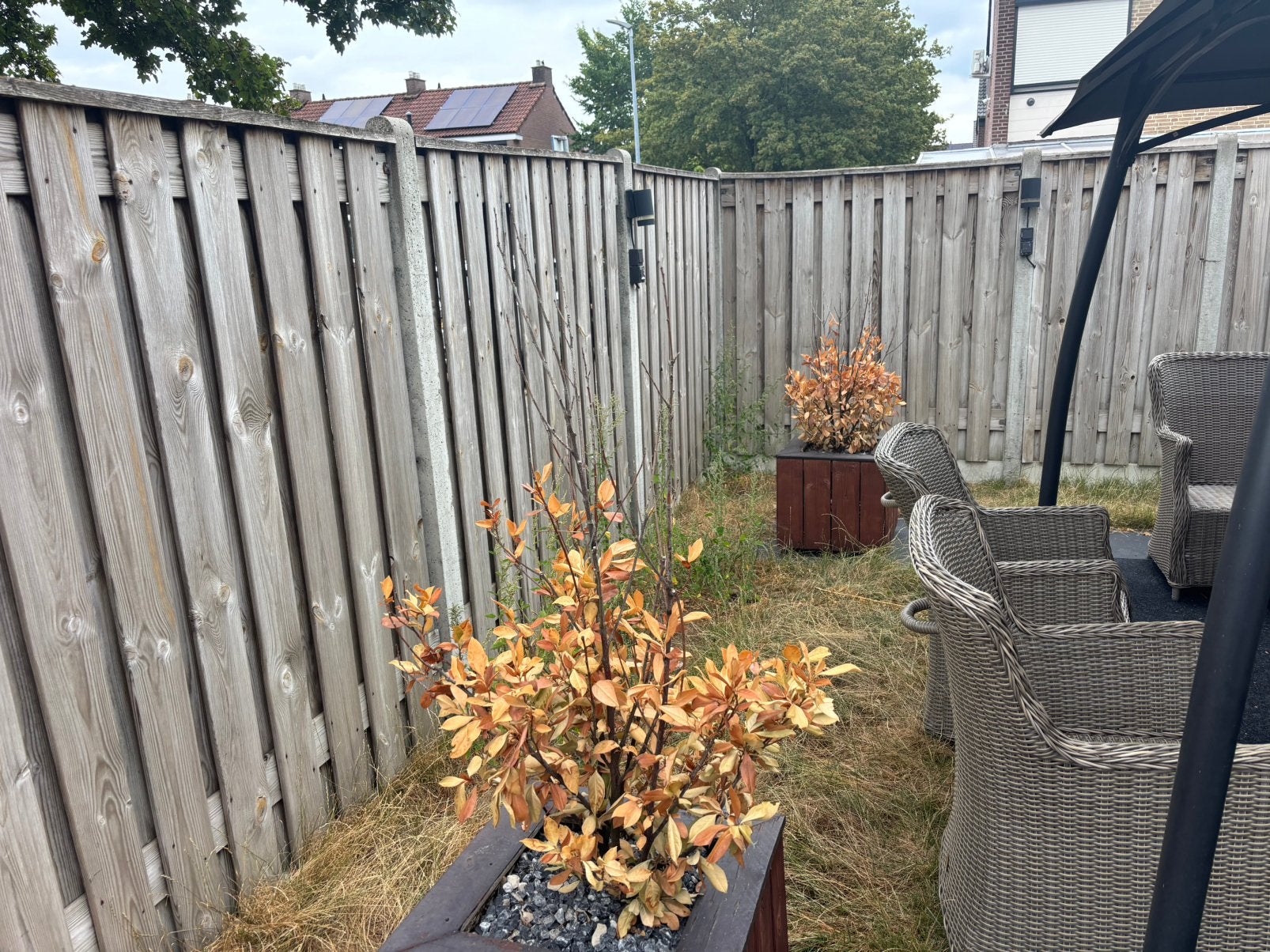 wie kann mijn gras verwijderen, Ophalen of Verzenden, Gebruikt