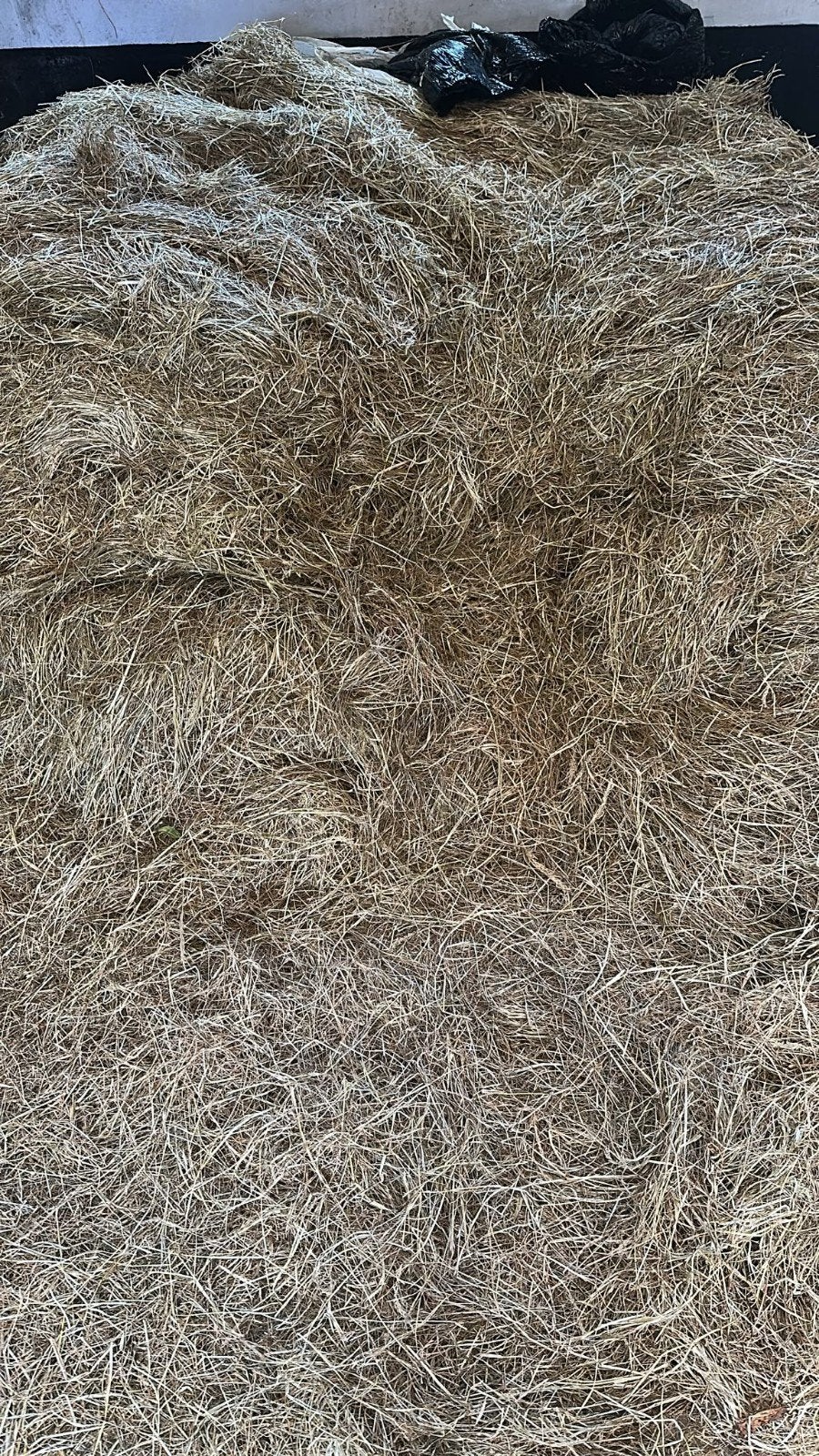 Hooi voor paarden en schapen - kleine en grote balen, Ophalen of Verzenden