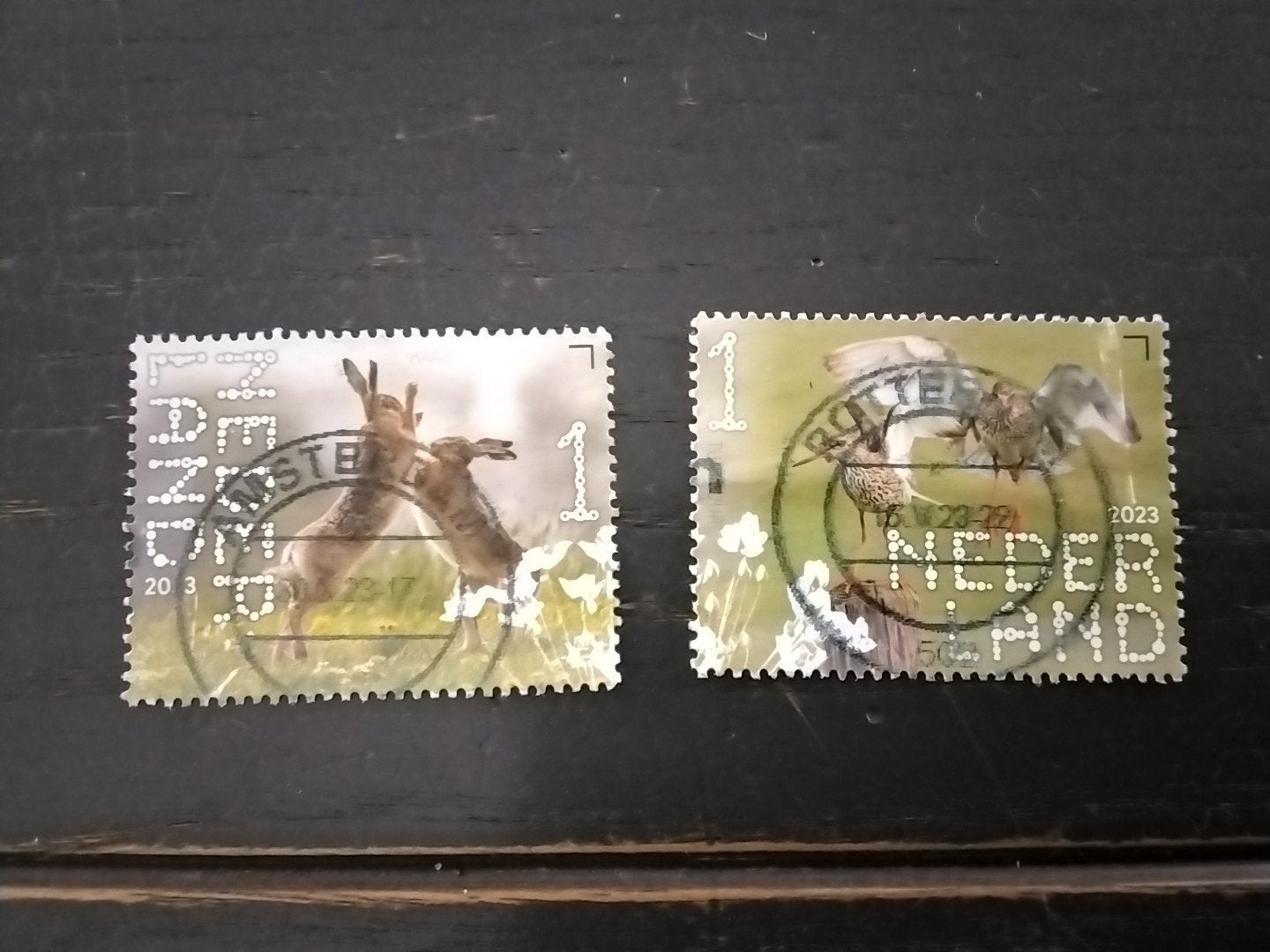 2087 Nederland persoonlijkheids zegel dieren 2023, Ophalen of Verzenden, Gestempeld, Dier of Natuur