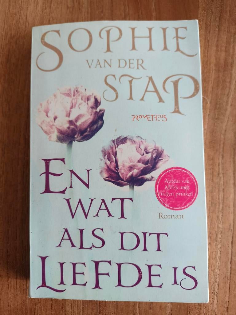Sophie van der Stap - En wat als dit liefde is, Ophalen of Verzenden