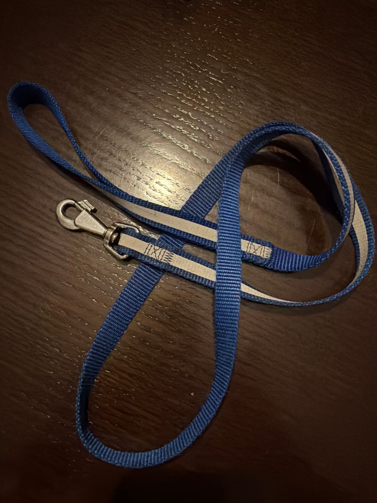 Puppy riem, Dieren en Toebehoren, Ophalen of Verzenden, Zo goed als nieuw, Hondenriem