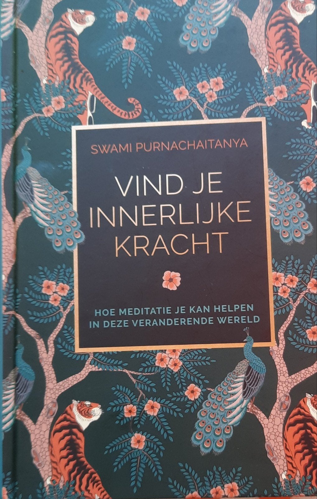 Vind je Innerlijke Kracht - Meditatiegids, Boeken, Meditatie of Yoga, Ophalen of Verzenden, Zo goed als nieuw, Swami Purnachaitanya