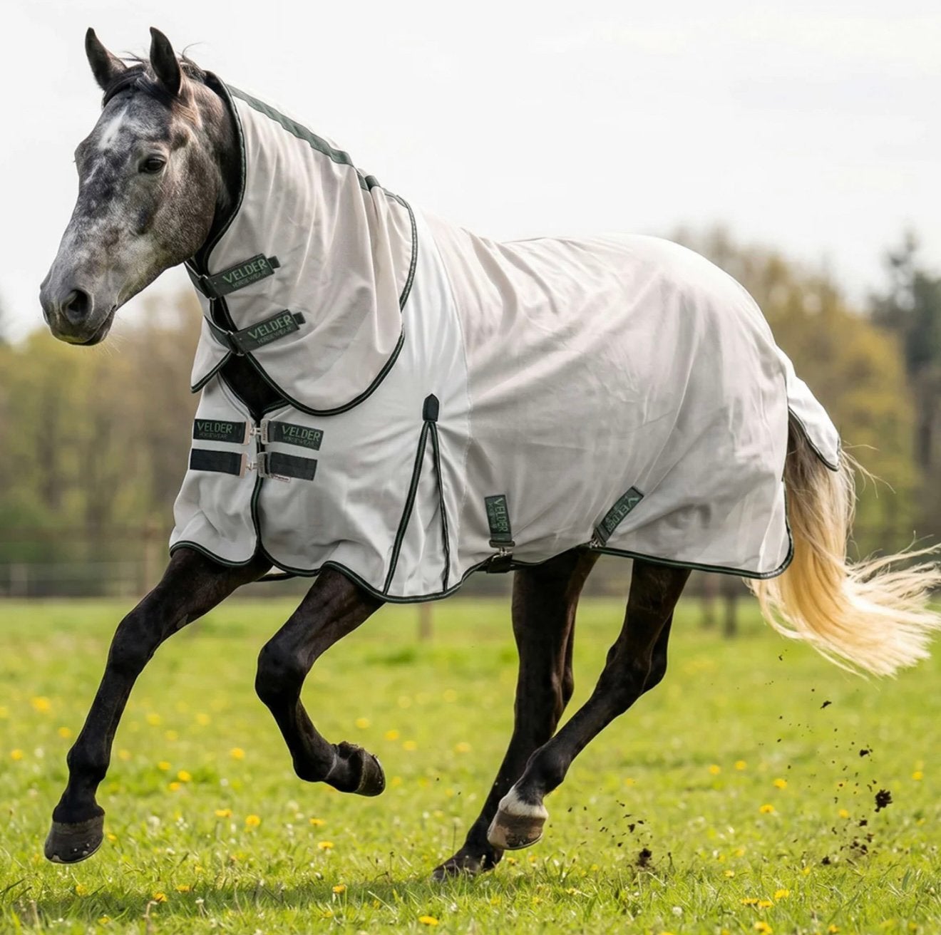 Velder Horsewear Premium Vliegendeken maat 115/155, Overige merken, Cob (M), Vliegendeken, Nieuw