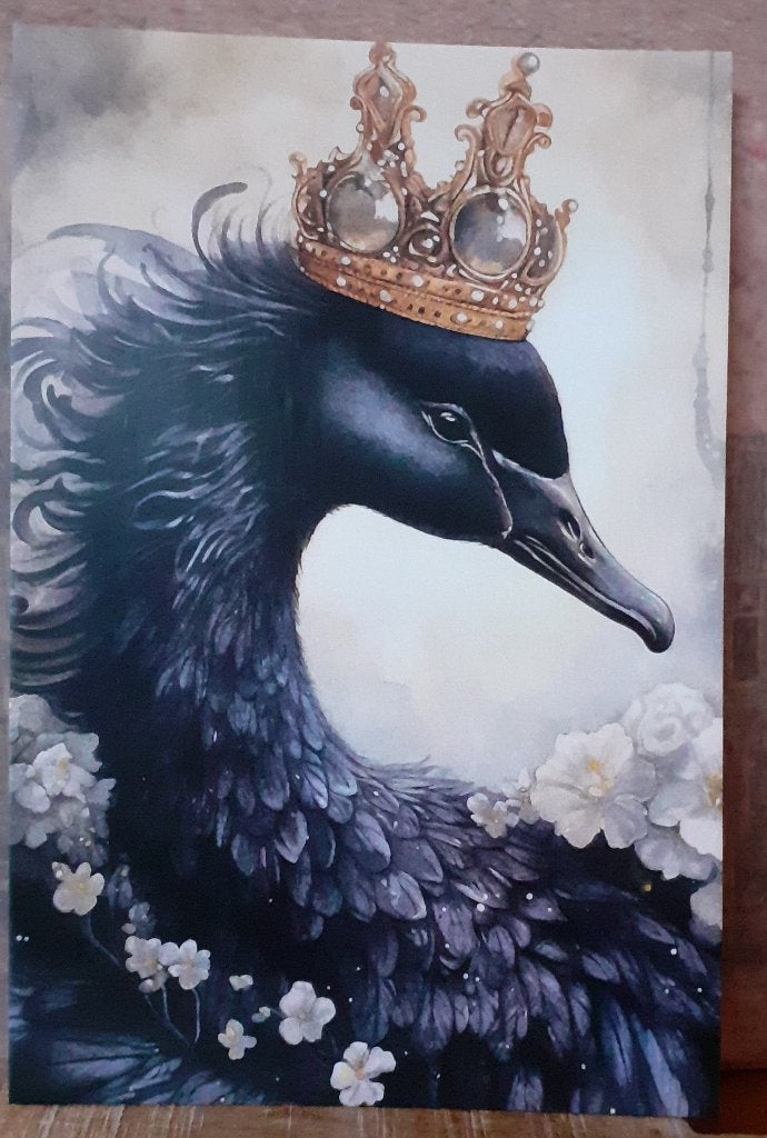 ansicht, dieren, Meerdere dieren, Dwergpapegaai of Agapornis, Pratend