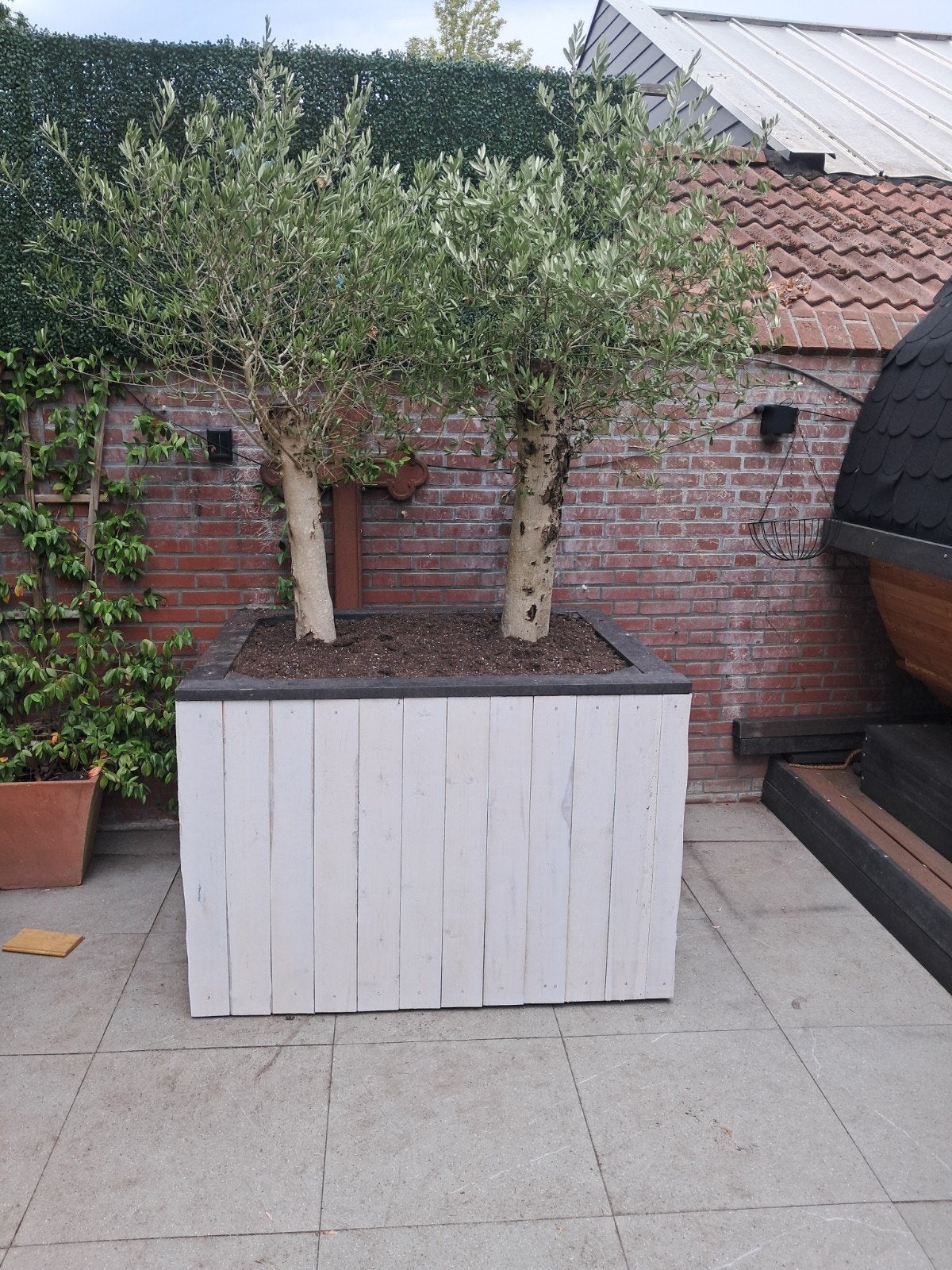Grote plantenbak op wielen van 1000 liter IBC bouwpakket dhz, Kunststof, 100 cm of meer, Ophalen of Verzenden, Zo goed als nieuw