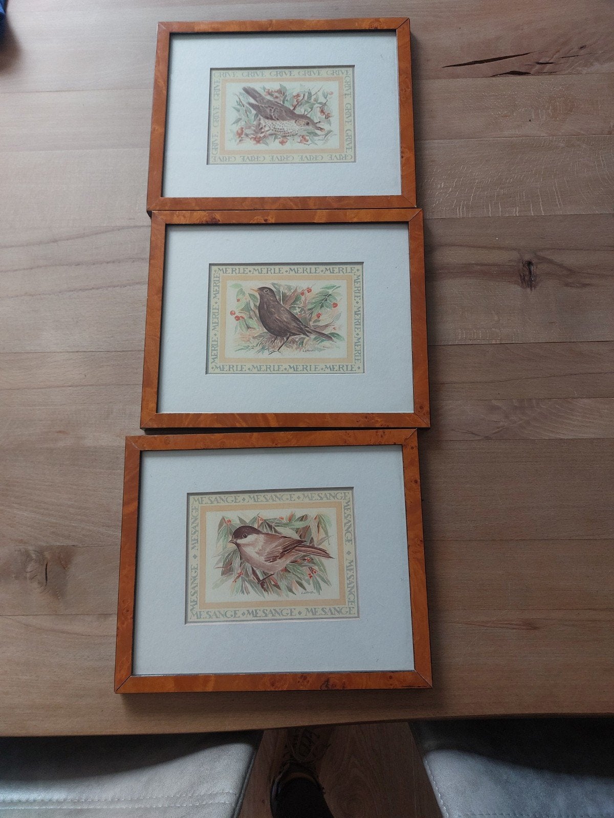 Vogels 3 afbeeldingen in mooie lijsten 23x27cm mus merel lij, Ophalen of Verzenden, Hout, Minder dan 50 cm, Minder dan 50 cm