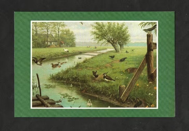 Ansichtkaart Schoolplaat In De Weide, Koekkoek., Ophalen of Verzenden, 1980 tot heden, Ongelopen, Vogel