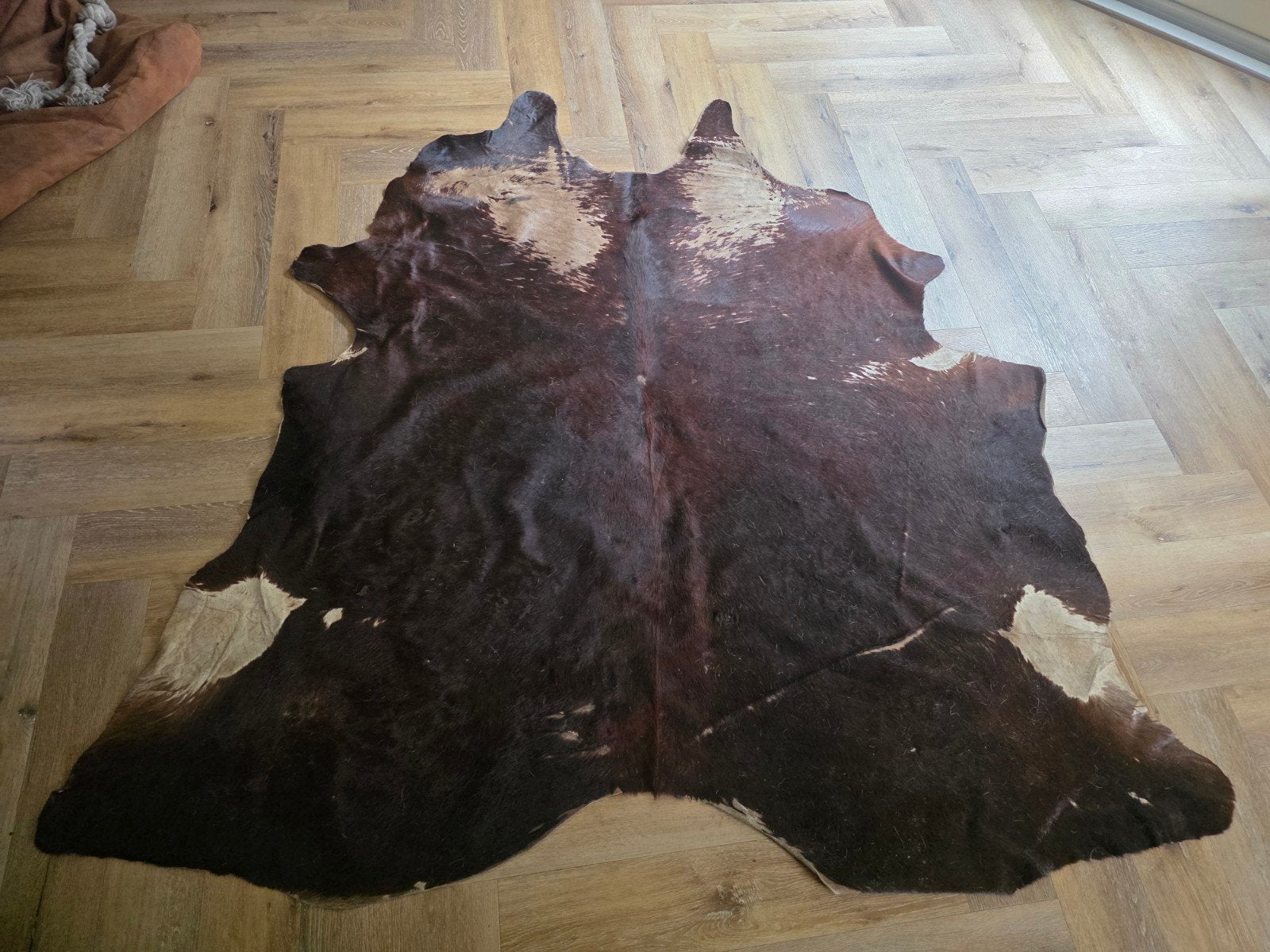 Prachtig bruin koeienhuid vloerkleed, Ophalen, Gebruikt, 100 tot 150 cm, Rustiek, Natuurlijk, Bohemian