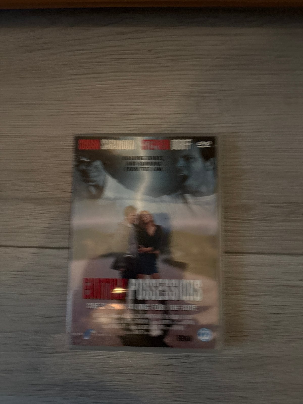 Earthly Possessions DVD - Susan Sarandon, Stephen Dorff, Alle leeftijden, Nederlands, Extra's, Gebruikt