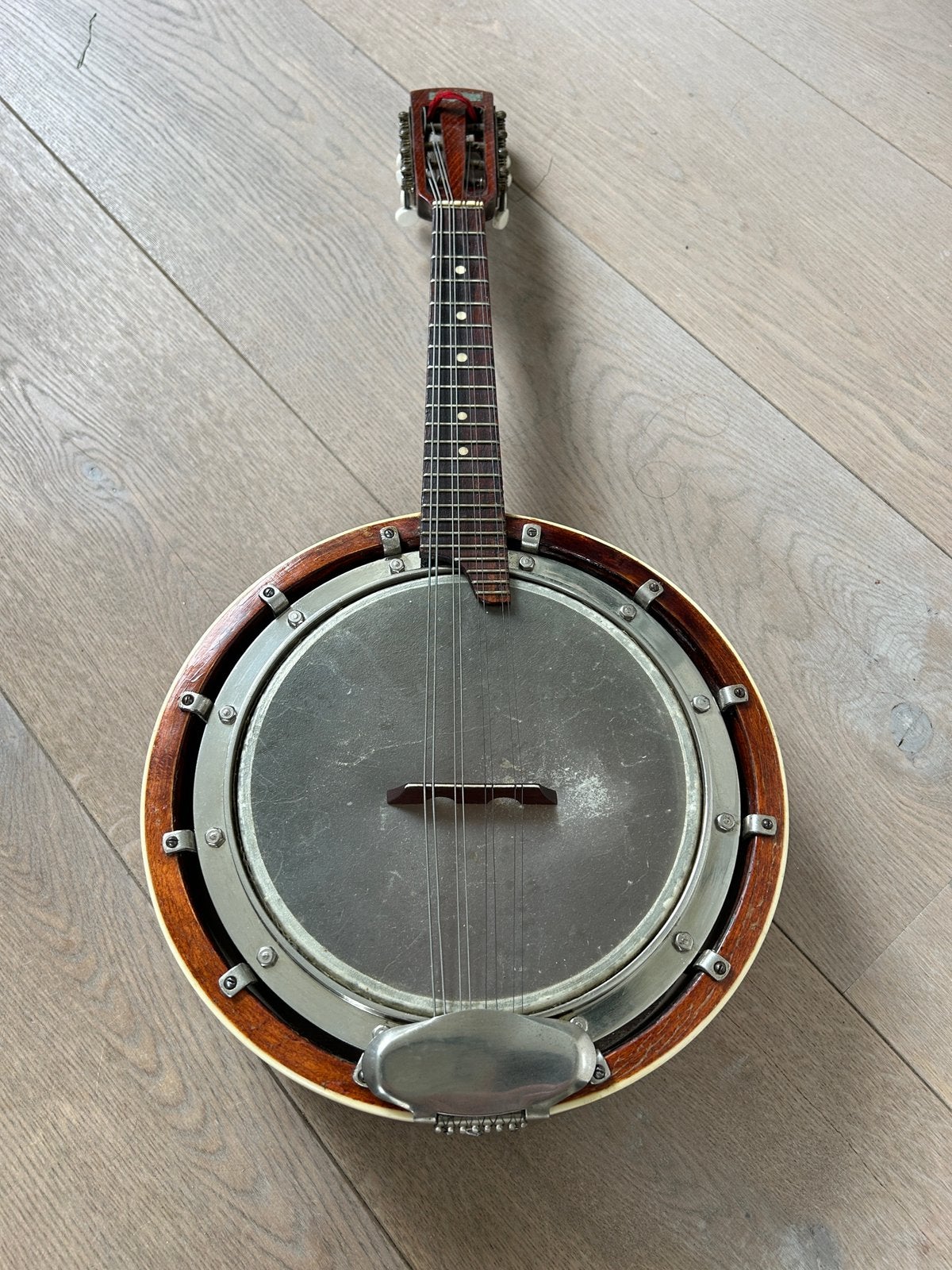 Antieke Banjo/Banjoline 8 snarig Maestro, Ophalen of Verzenden, Gebruikt, Mandolinebanjo