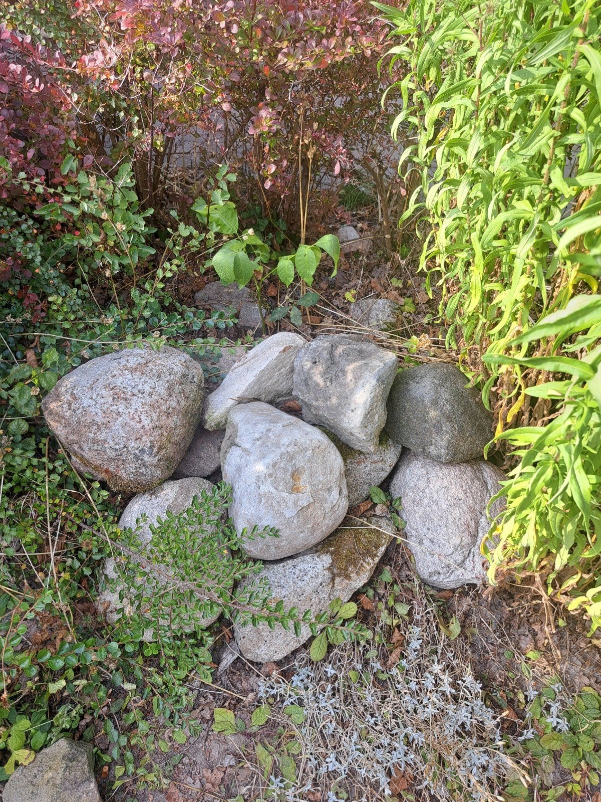 Decoratieve tuinrotsen - Natuurlijke keien voor uw tuin, Ophalen, Overige materialen, Gebruikt, Kei