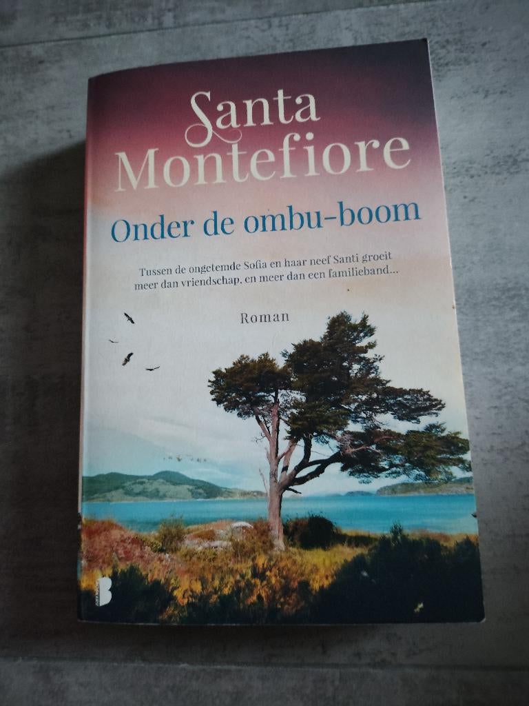 Santa Montefiore Onder de Ombu-boom in nette staat, Boeken, Romans, Ophalen of Verzenden, Zo goed als nieuw, Santa Montefiore