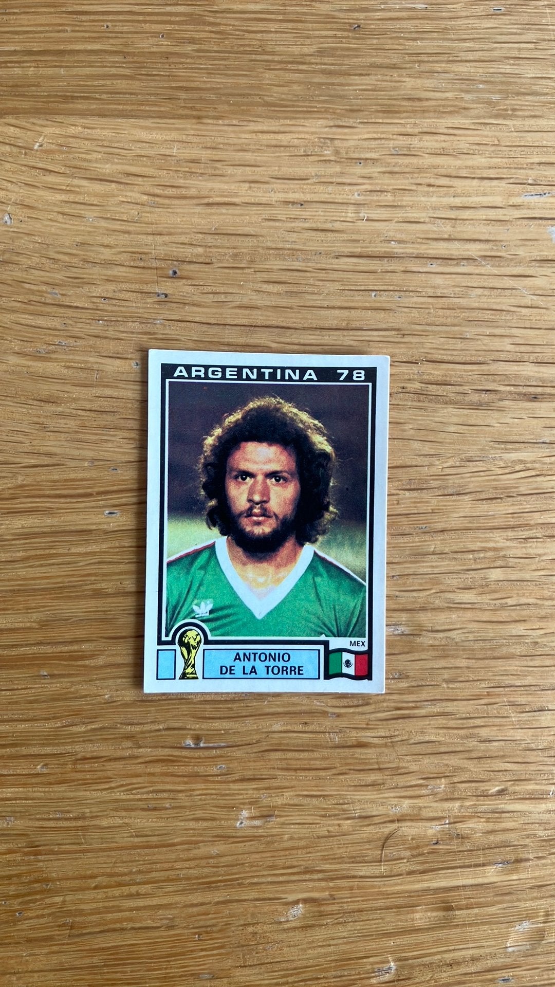Panini Argentina ‘78, Ophalen of Verzenden, Zo goed als nieuw, Buitenlandse clubs, Poster, Plaatje of Sticker