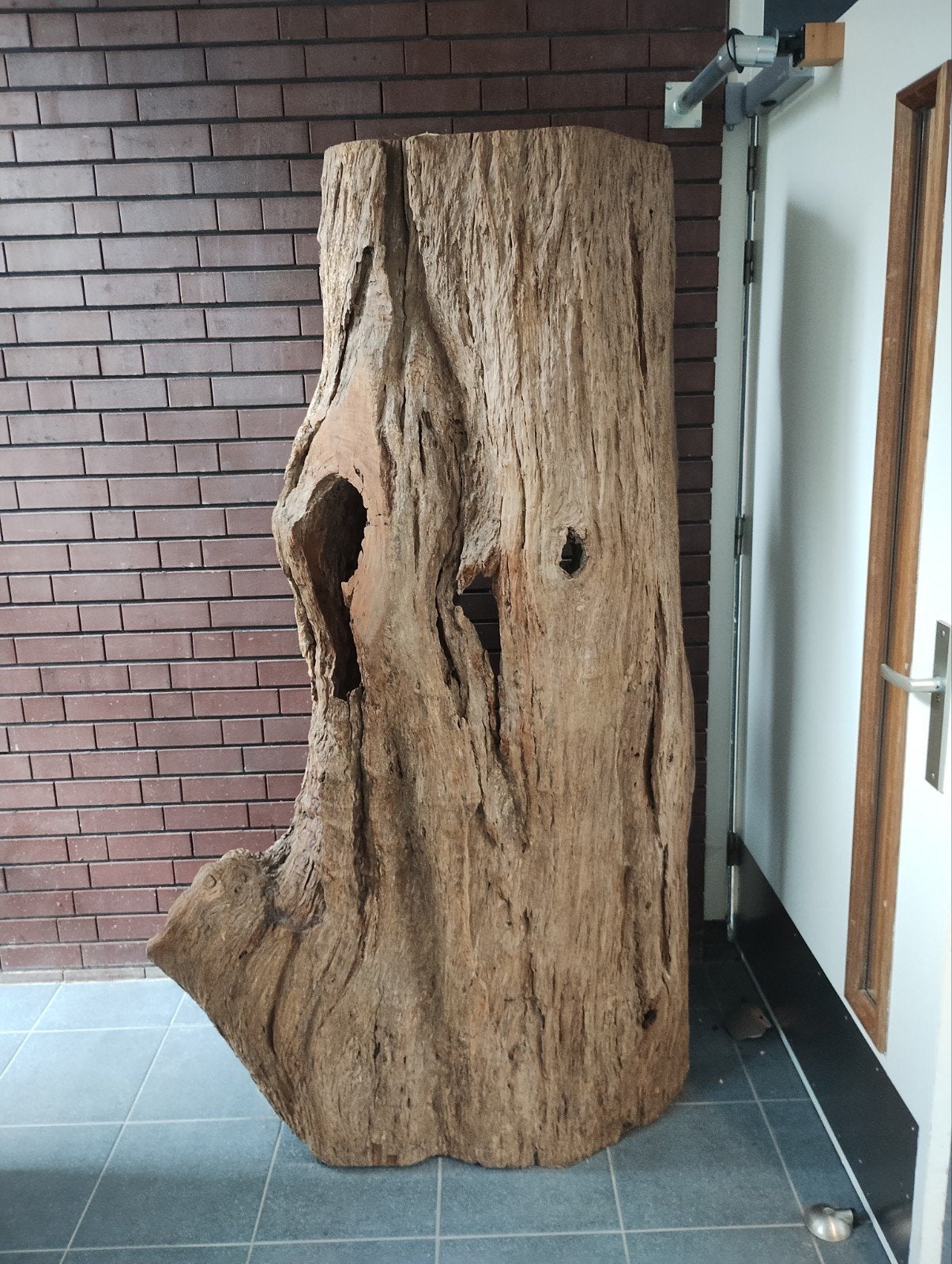 Decoratieve bomen, Ophalen