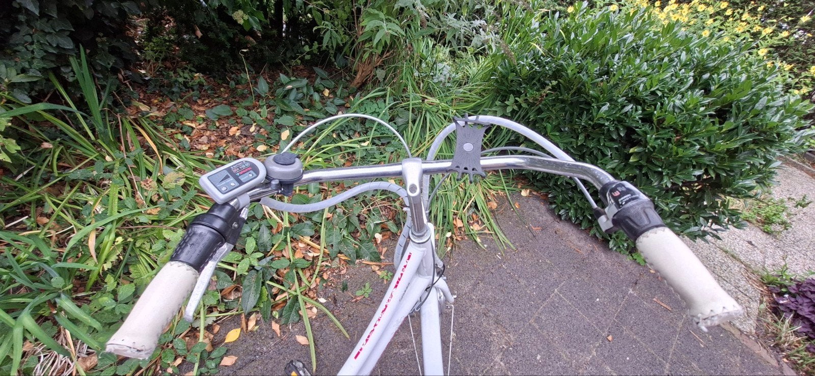 Foto 5 van Elektrische damesfiets met lage instap