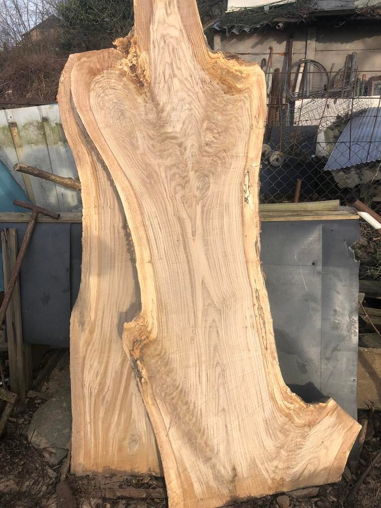 Droge eiken, beuken, acacia en plantaan planken te koop!, Minder dan 25 mm, Eiken, Ophalen of Verzenden, Zo goed als nieuw