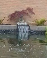 Waterval vijver, Ophalen, Zo goed als nieuw
