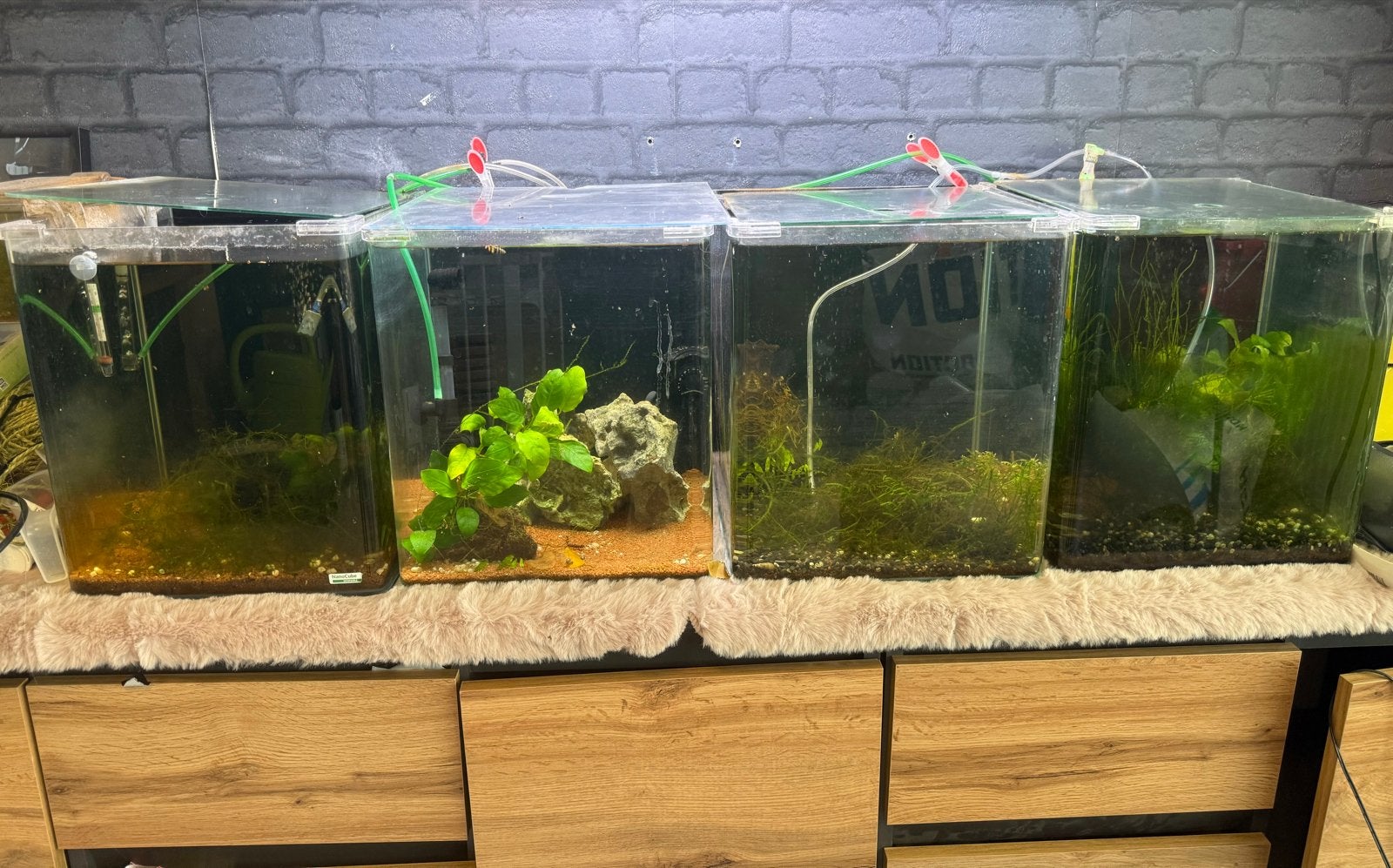 Dennerle 30 nano cube 4x aquarium, Dieren en Toebehoren, Vissen | Aquaria en Toebehoren, Ophalen, Gebruikt, Dennerle, Gevuld zoetwateraquarium