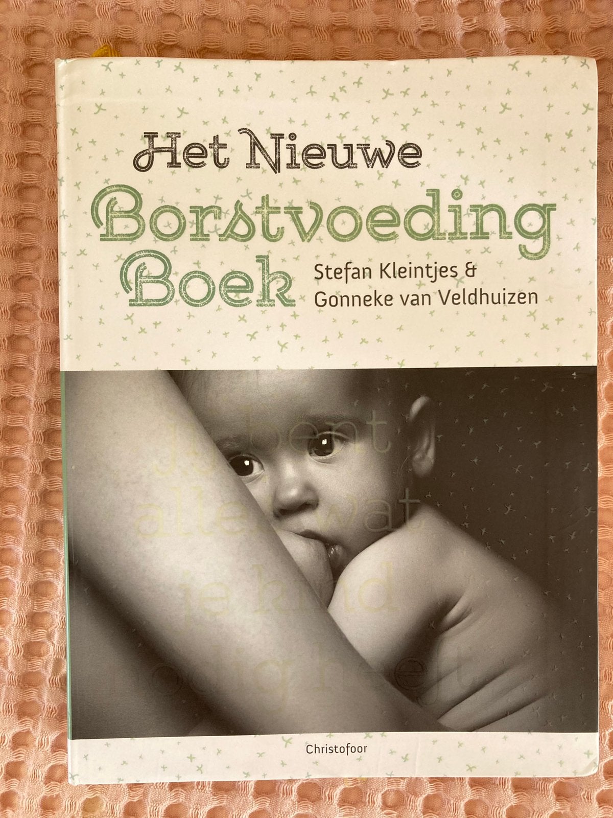 Het Nieuwe Borstvoeding Boek - Stefan Kleintjes & Gonneke va, Ophalen of Verzenden, Zo goed als nieuw, Zwangerschap en Bevalling