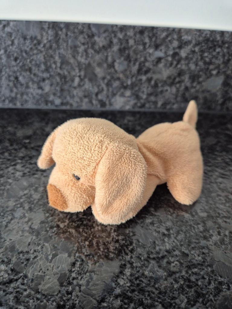 HEMA  - Knuffel Hondje klein, Ophalen of Verzenden, Zo goed als nieuw, Hond