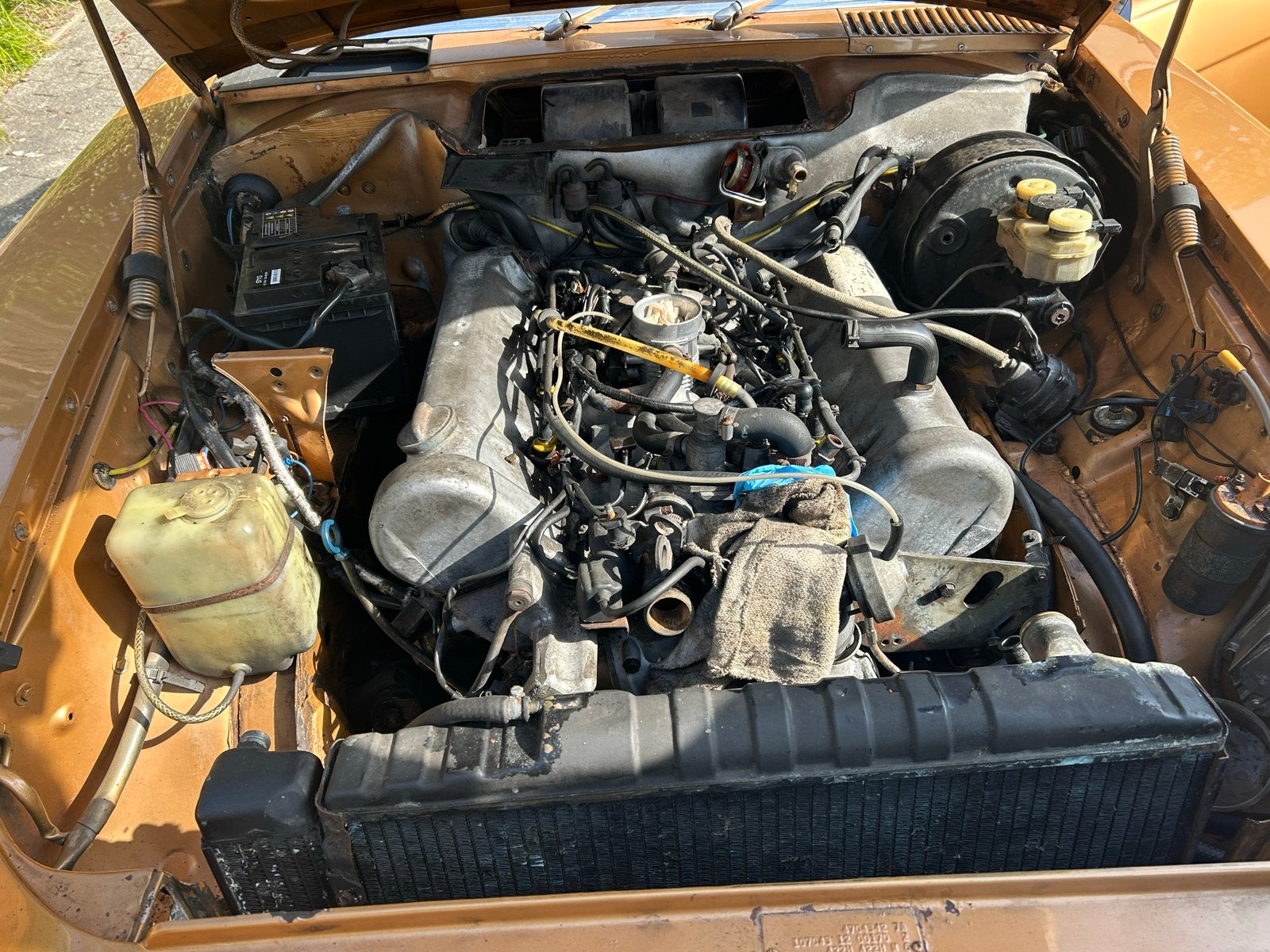 Mercedes-Benz Mercedes 1974 Bruin, foto 9