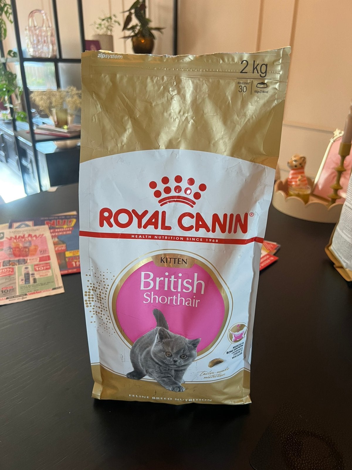 Royal Canin Britse Korthaar Kitten, Dieren en Toebehoren, Ophalen of Verzenden, Kat